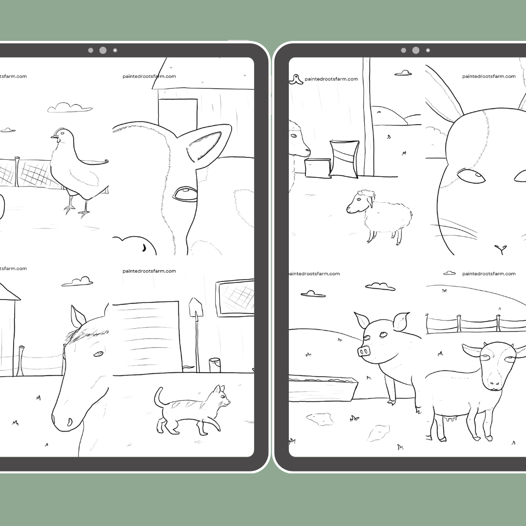 Farm Animal Colouring Pages (Digital Printable) - Image 2