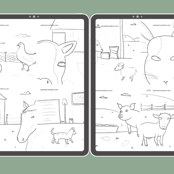 Farm Animal Colouring Pages (Digital Printable) - Image 2